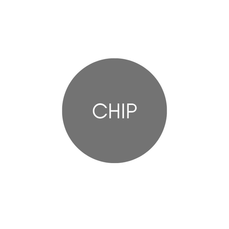 IVERZOLO CHIP BIORISONANZA 1PZ