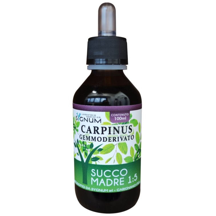 CARPINUS GEMMODERIVATO 100ML