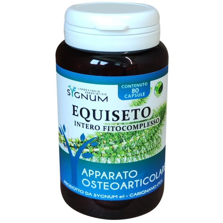 EQUISETO 80CPS