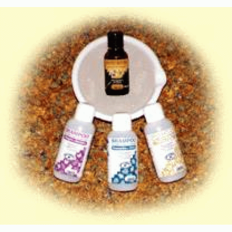SHAMPOO CAP NORM/SECCHI 250ML