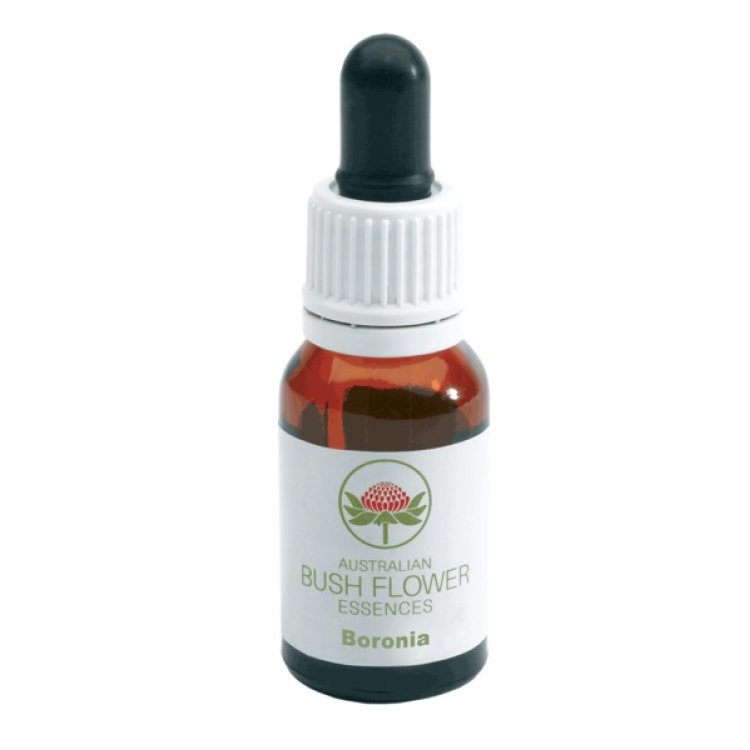 BORONIA AUSTRALIAN 15ML GTT BORONIA AUSTRALIAN 15ML GTT