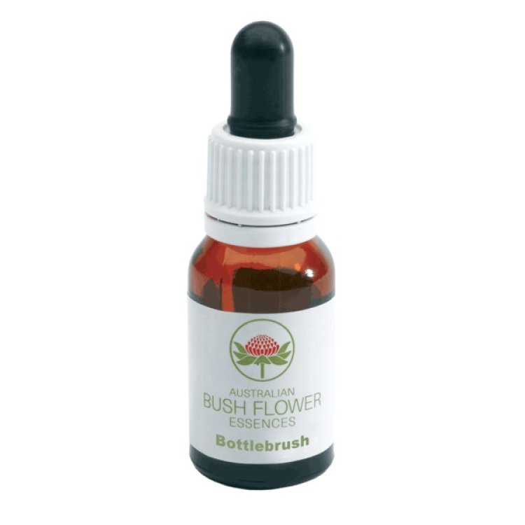 BOTTLEBRUSH AUSTRALIAN15ML GTT BOTTLEBRUSH AUSTRALIAN15ML GTT
