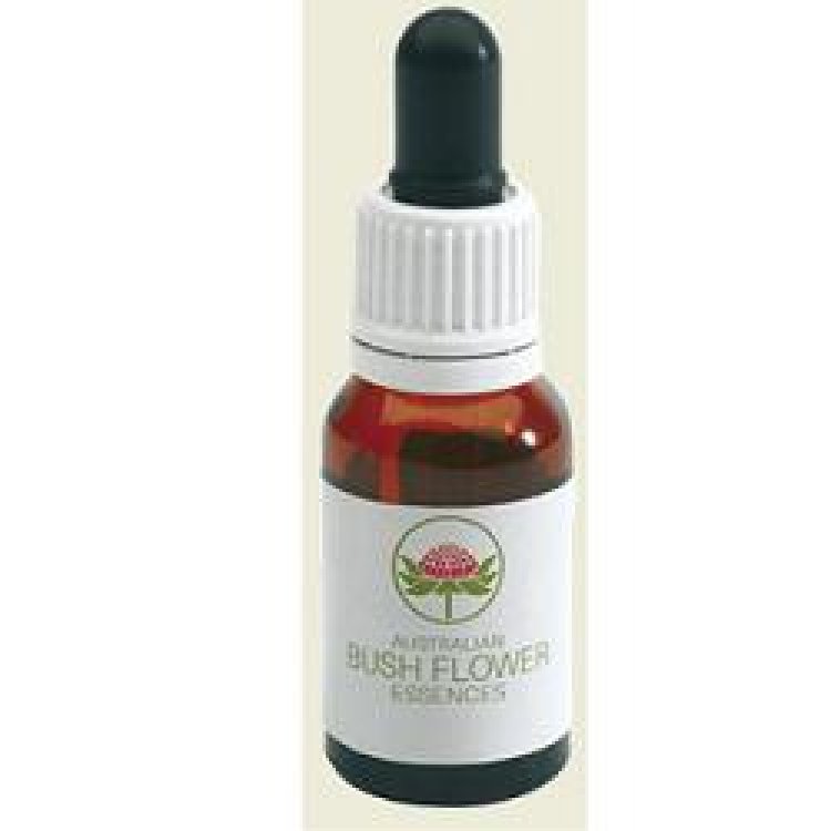 ILLAWARRA FLAME TREE 15ML GTT ILLAWARRA FLAME TREE 15ML GTT