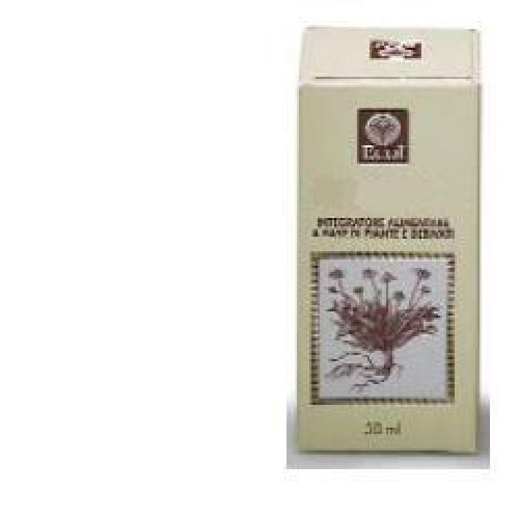 FICO GEMME ESTR ANALCO 50ML FICO GEMME ESTR ANALCO 50ML