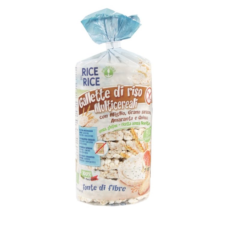 R&R GALLETTEMULTICEREALI100G