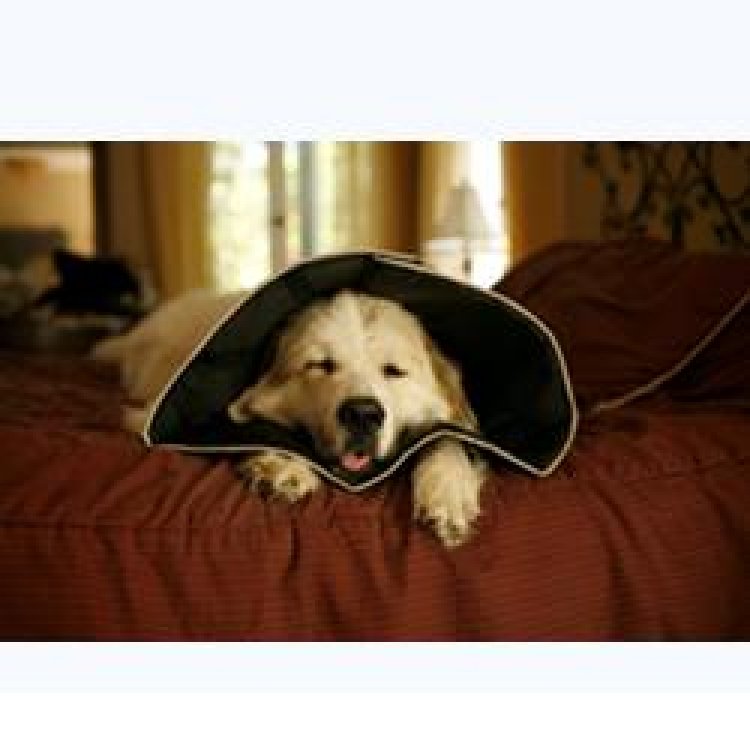 COMFY CONE SMALL 14 CM