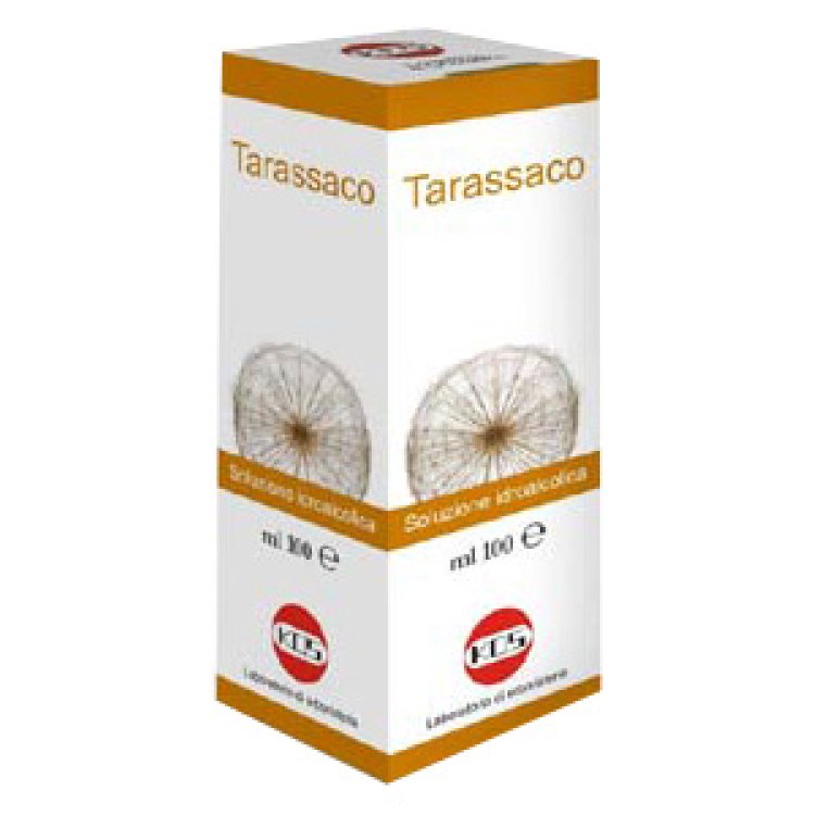 TARASSACO SOL IAL PIANTA FR100