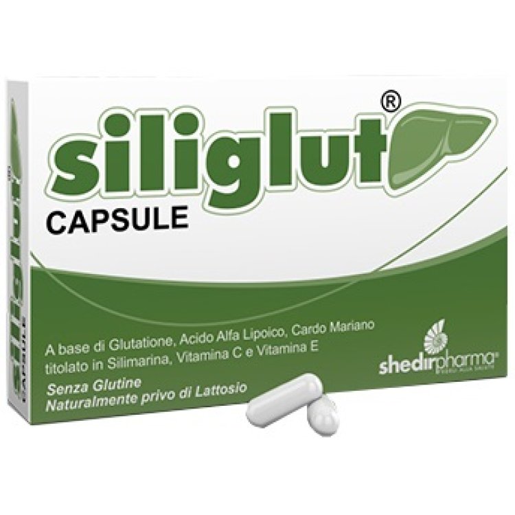 SILIGLUT 20CPS SILIGLUT 20CPS