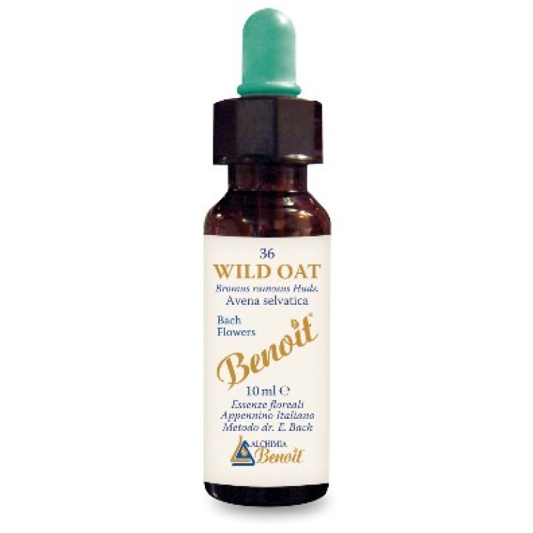 BENOIT FIORI DI BACH WILD OAT