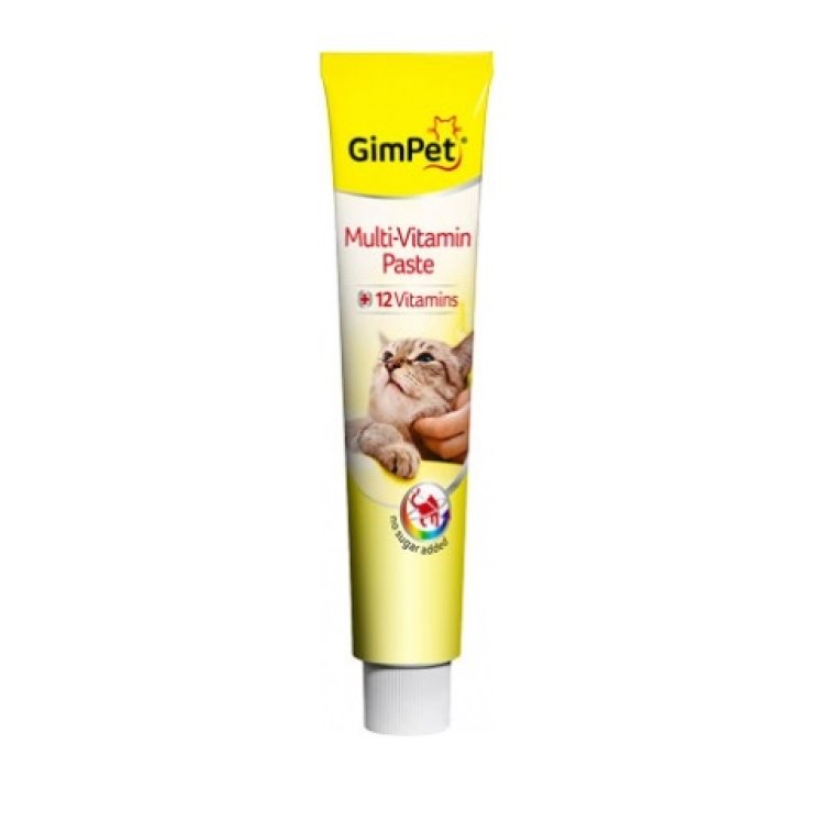 PASTA MULTIVIT C/TGOS 20G