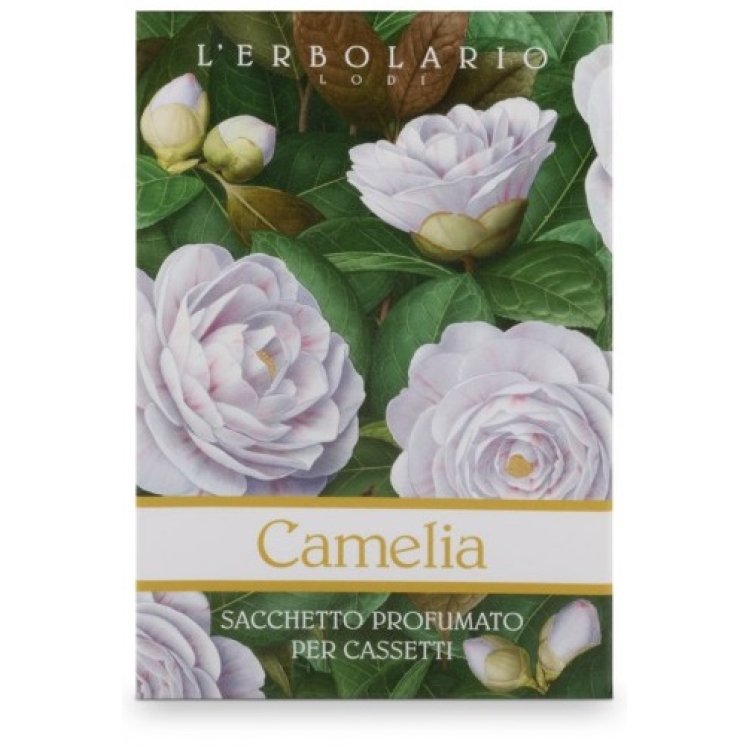 CAMELIA SACCHETTO PROF CASS