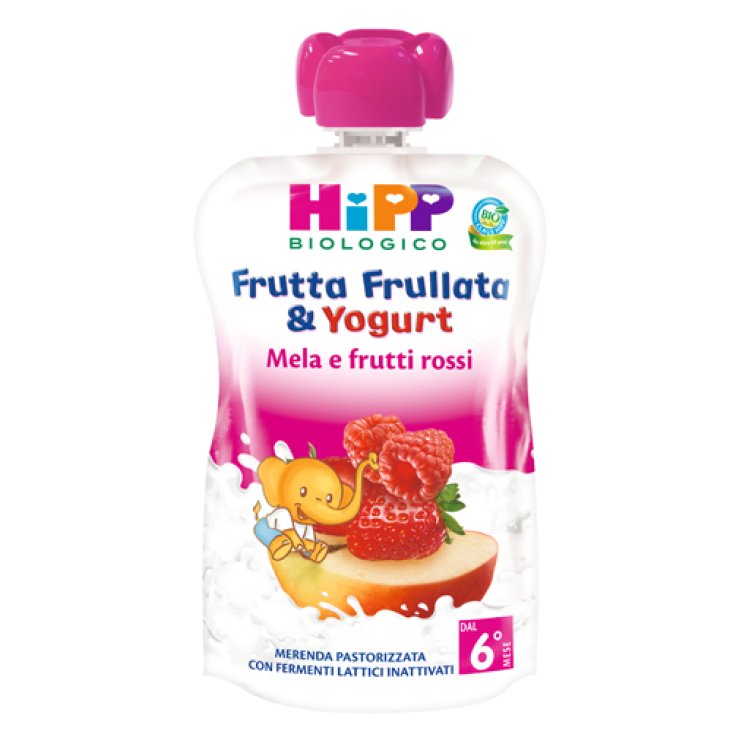 HIPP BIO FRUTFRUME/FRUT/Y90G