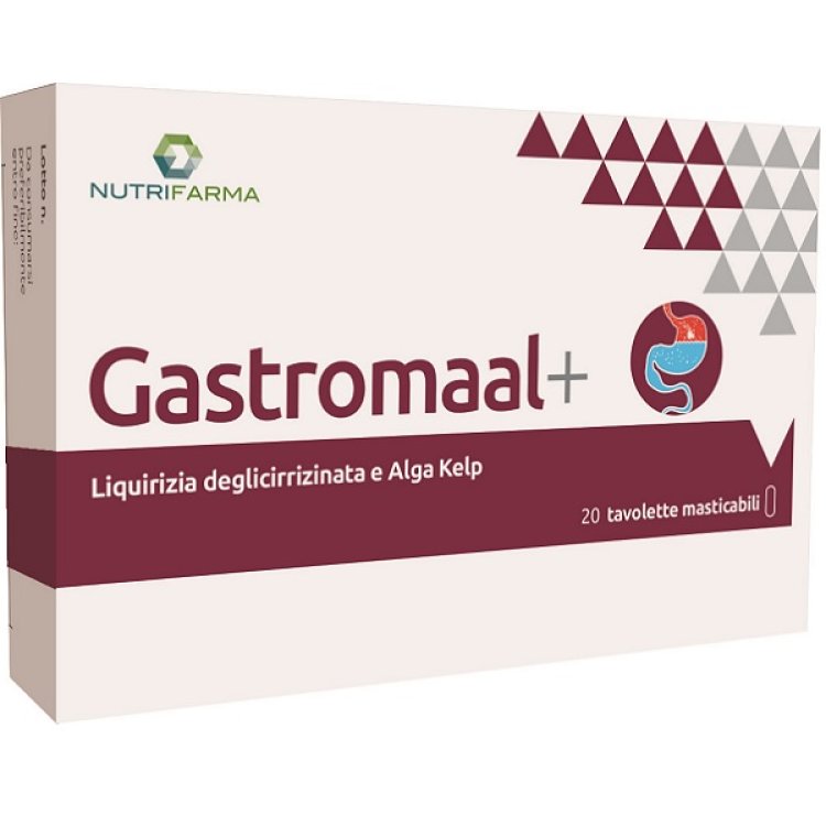 GASTRO MAAL + 20TAV