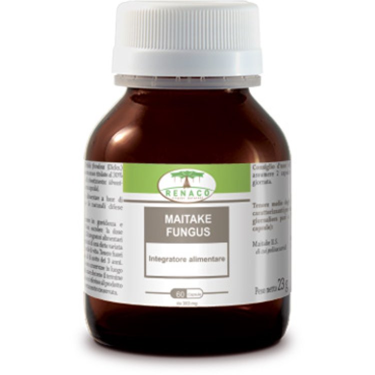 MAITAKE FUNGUS 60CPS MAITAKE FUNGUS 60CPS