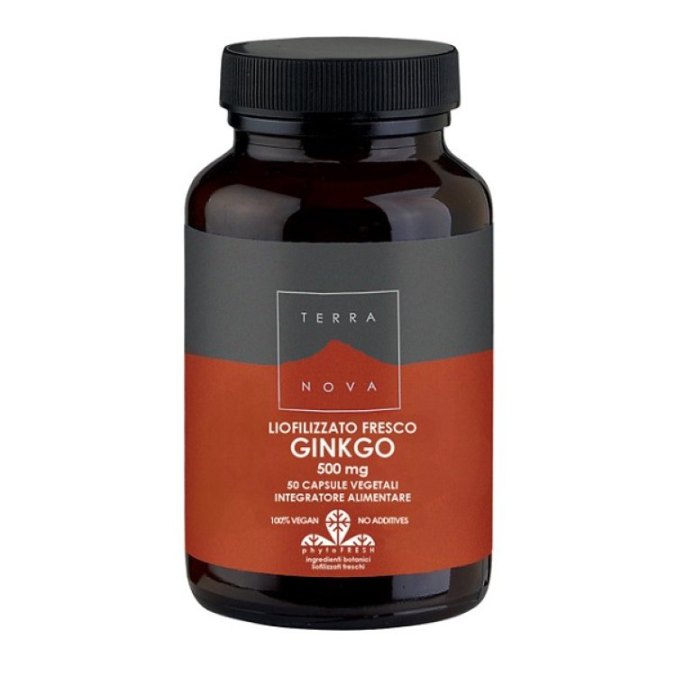 TERRANOVA FOGLIE GINKGO 50CPS TERRANOVA FOGLIE GINKGO 50CPS
