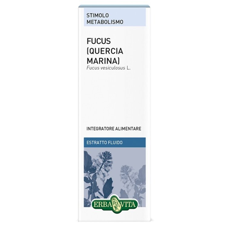 FUCUS QUERCIA MARINA ESTR FL50 FUCUS QUERCIA MARINA ESTR FL50