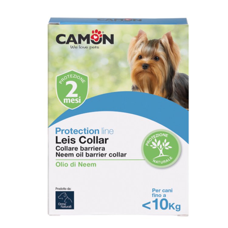 LEIS COLLARE BARRI CANE35CMS