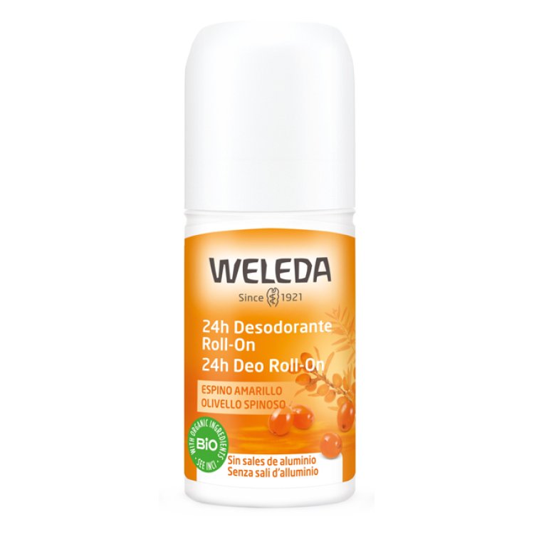 24H DEO ROLL-ON OLIVELLO50ML