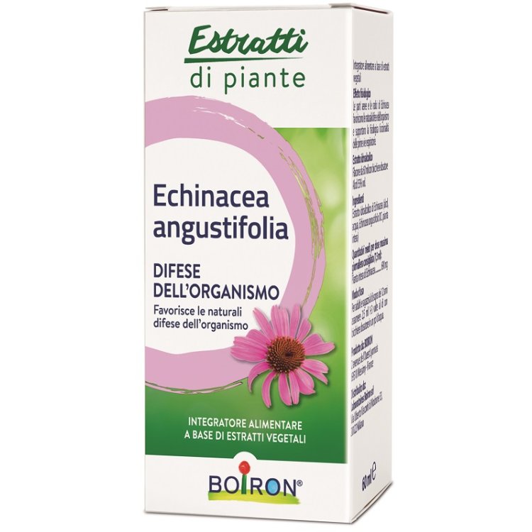 ECHINACEA ANG ESTR IAL 60ML ECHINACEA ANG ESTR IAL 60ML