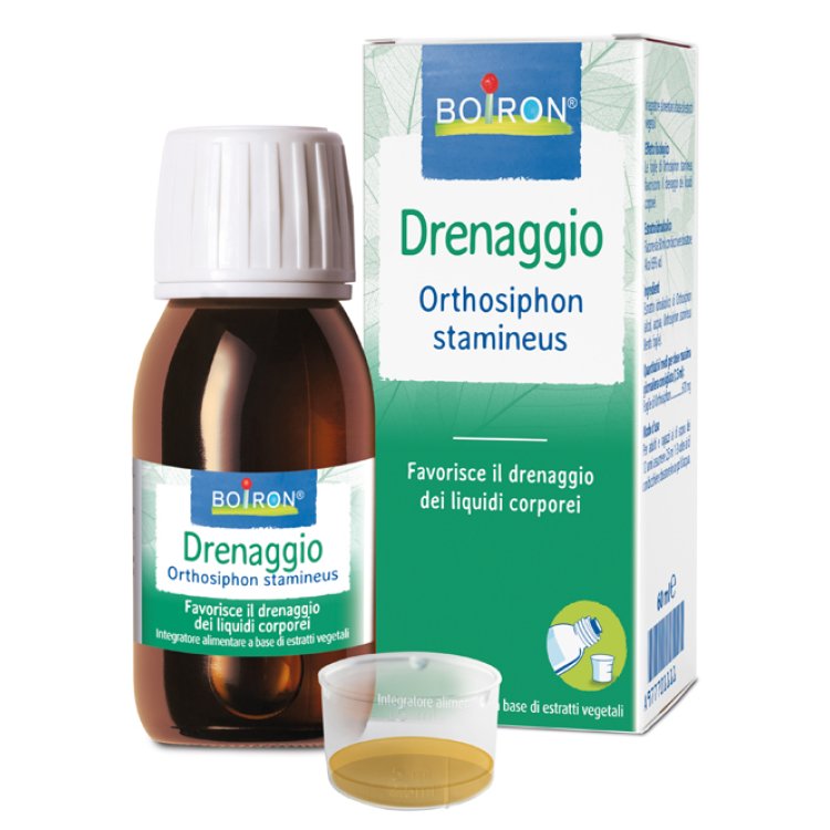 ORTHOSIPHON STA EI 60ML INT ORTHOSIPHON STA EI 60ML INT