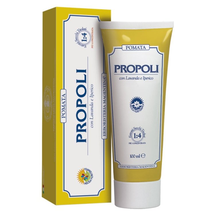 POMATA PROPOLI 100ML POMATA PROPOLI 100ML