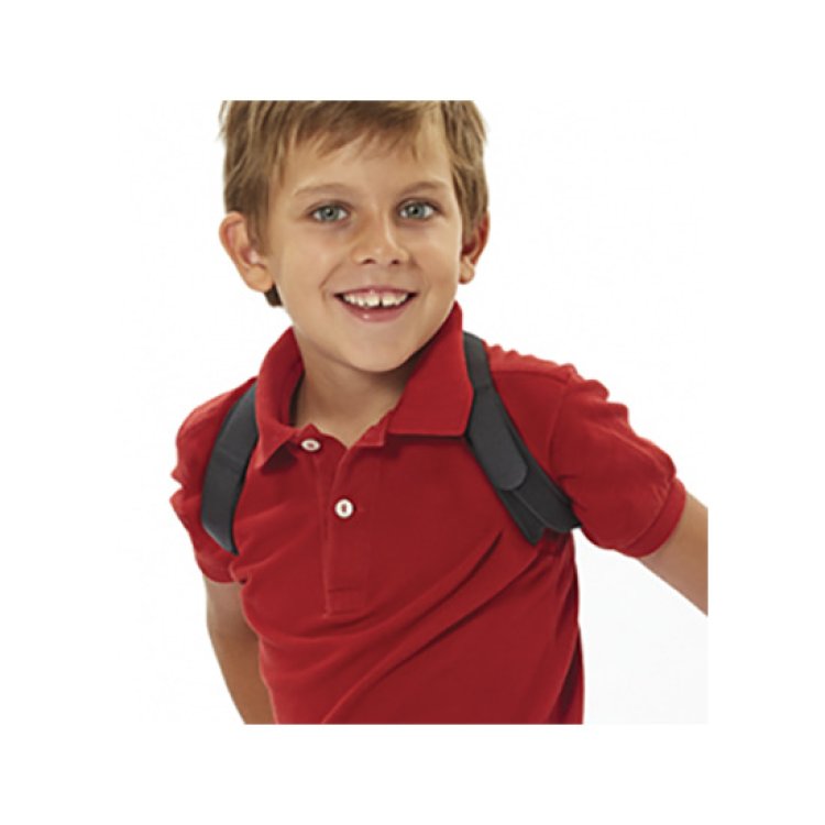 GIBAUD ORTHO BLOC CLAVICOLA J GIBAUD ORTHO BLOC CLAVICOLA J