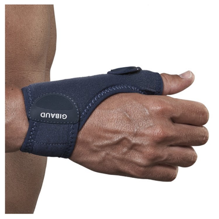 GIBAUD ORTHO RHIZOGIB ORTDX1