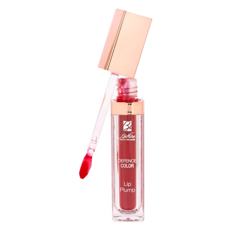 DEFENCE COLOR LIP PLUMPN6ROU