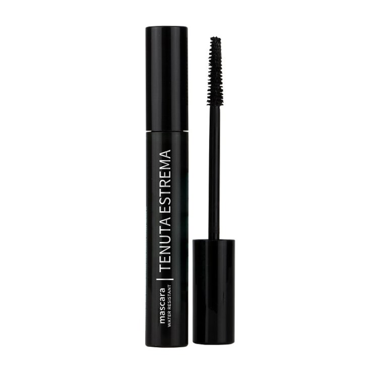 LDF MAKE UP MASCARATENUTAEST