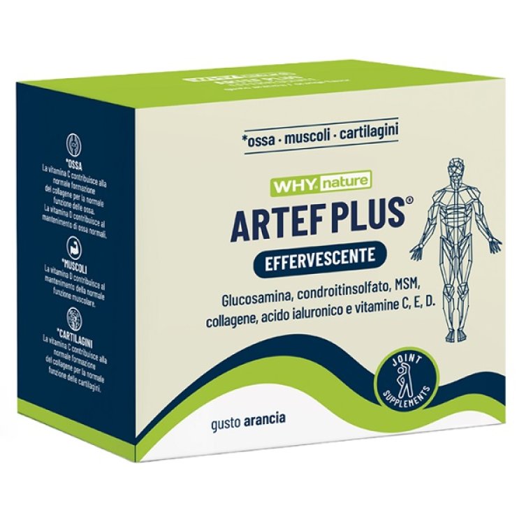 WHYNATURE ARTEF PLUS 24BUST