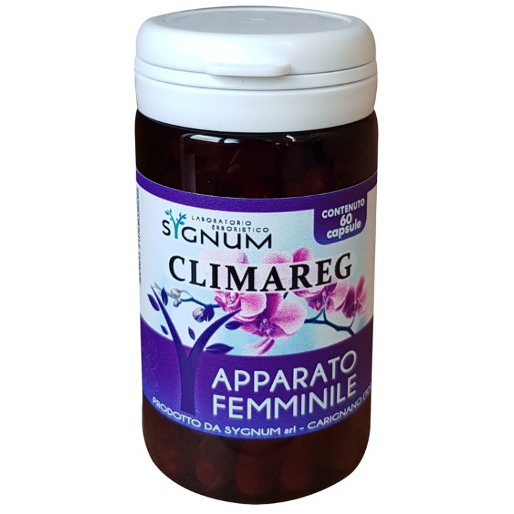 CLIMAREG 60CPS