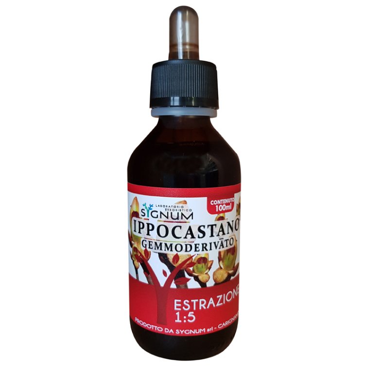 IPPOCASTANO GEMME 100ML