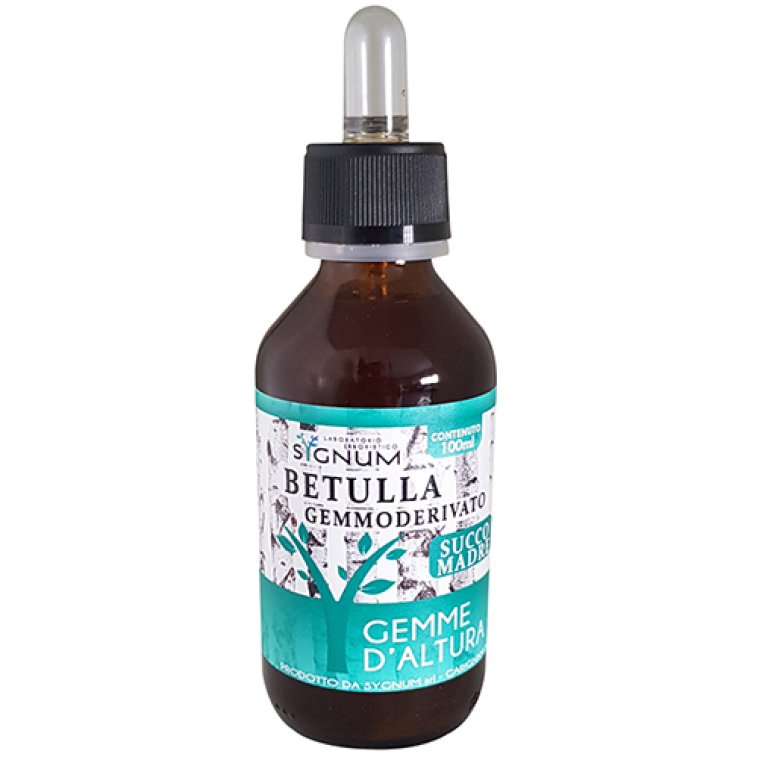BETULLA GEMME 100ML