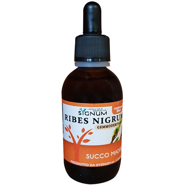 RIBES NIGRUM SUCCO MADRE50ML