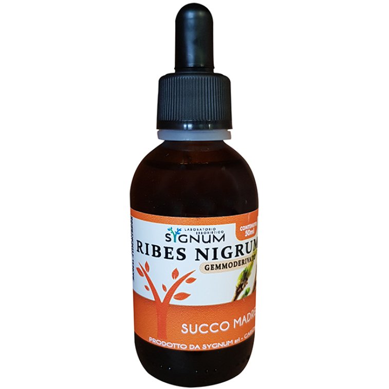 RIBES NIGRUM SUCCO MADRE50ML