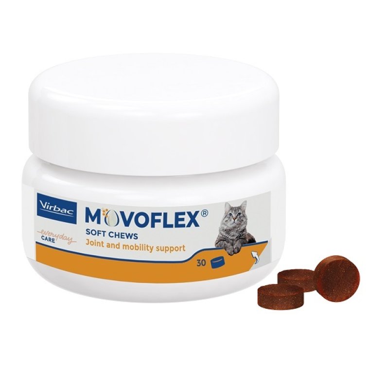 MOVOFLEX GATTO 30 CPR MASTICAB