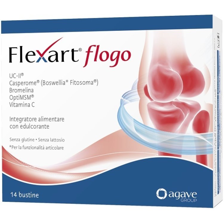 FLEXART FLOGO 14BUST