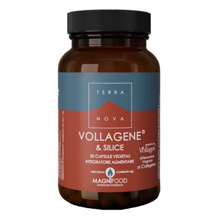 TERRANOVA VOLLAGENE&SILIC50CPS TERRANOVA VOLLAGENE&SILIC50CPS