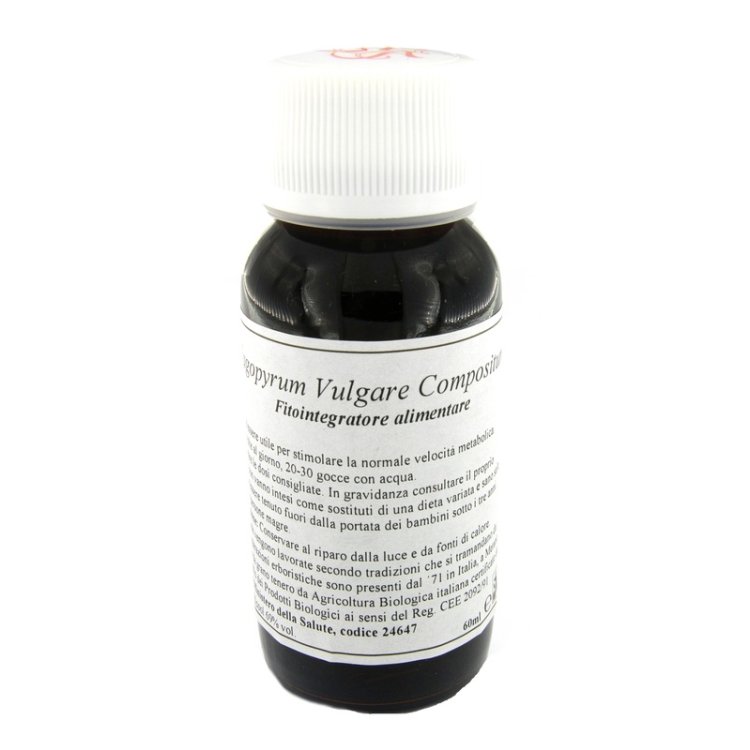 LVS 33S FAGOPYRUM VULGARE COMP