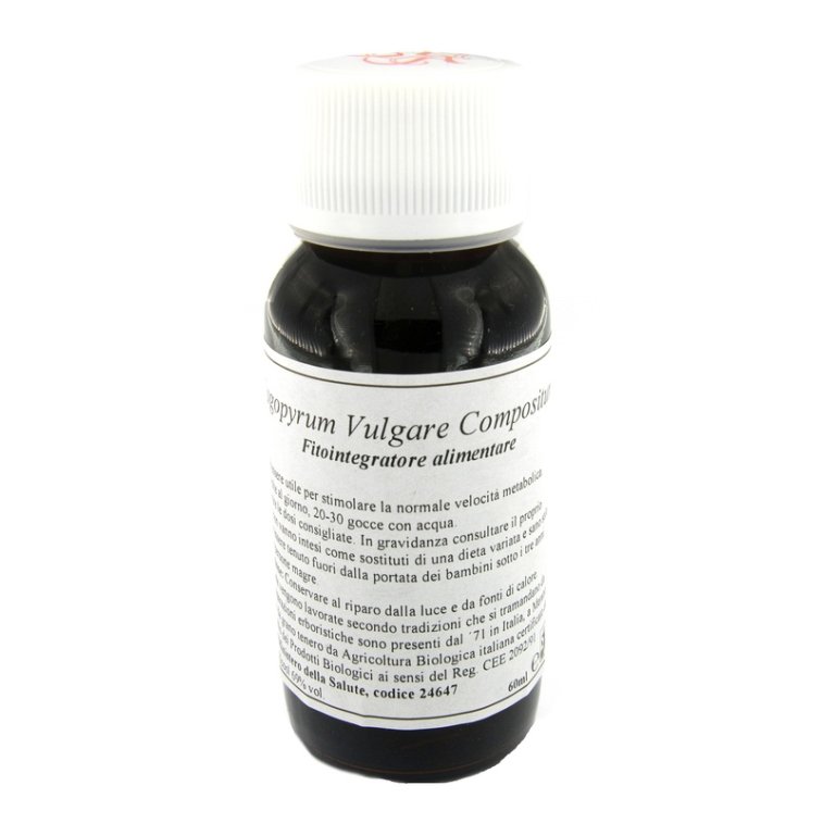 LVS 33S FAGOPYRUM VULGARE COMP