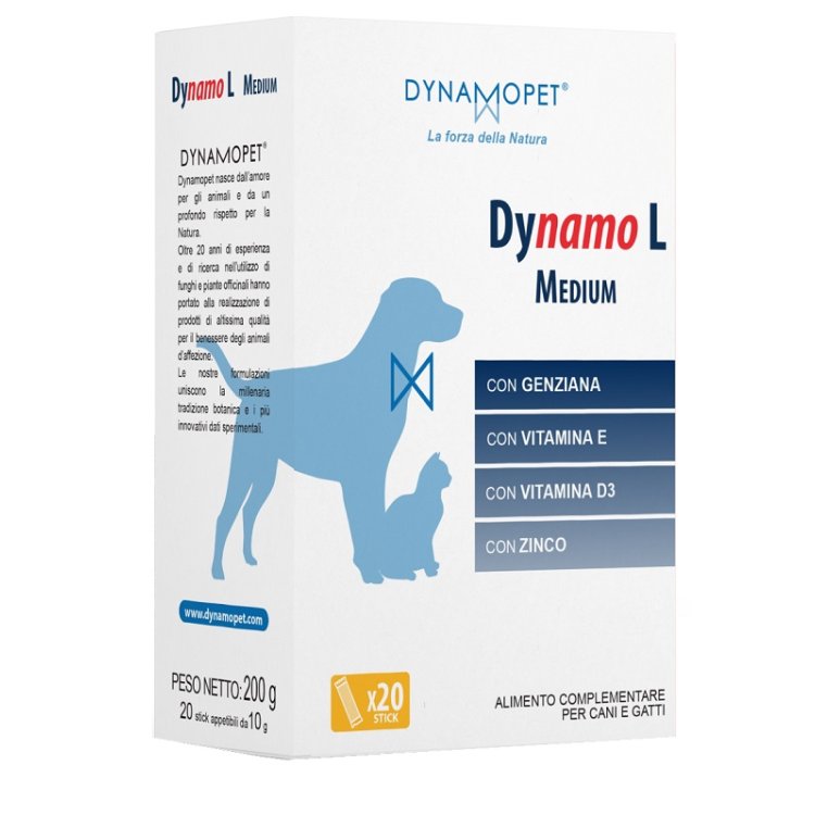 DYNAMO L MEDIUM 20STICK 10G