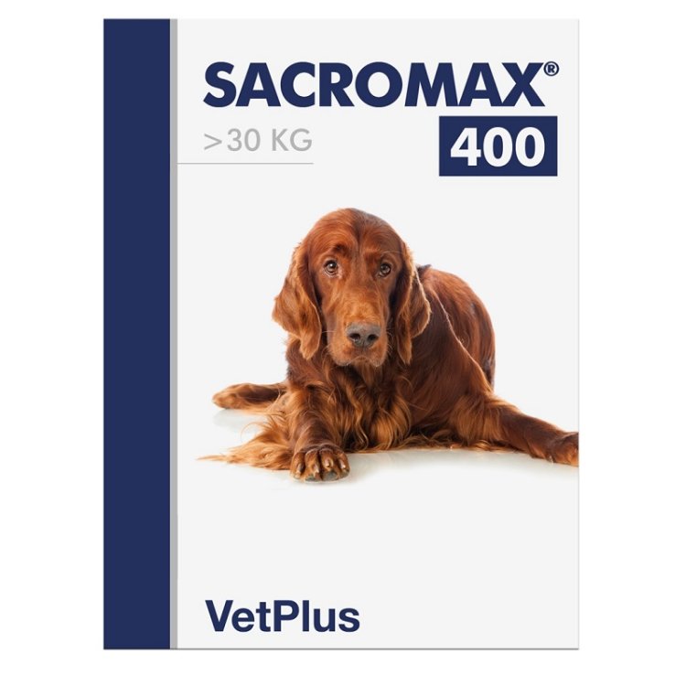 SACROMAX 400 30 BUST SACROMAX 400 30 BUST
