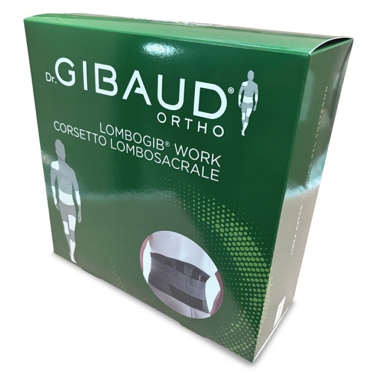 GIBAUD LOMBOGIB WORK H21 TG02 GIBAUD LOMBOGIB WORK H21 TG02