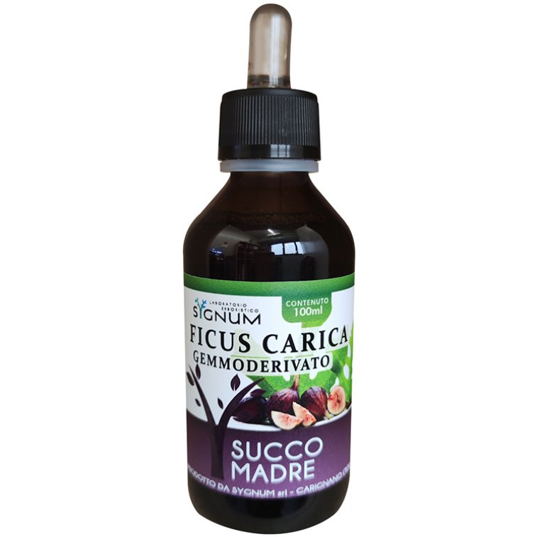 FICUS CARICA GD 100ML