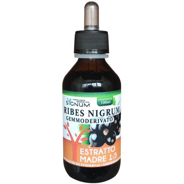 RIBES NIGRUM GD 100ML