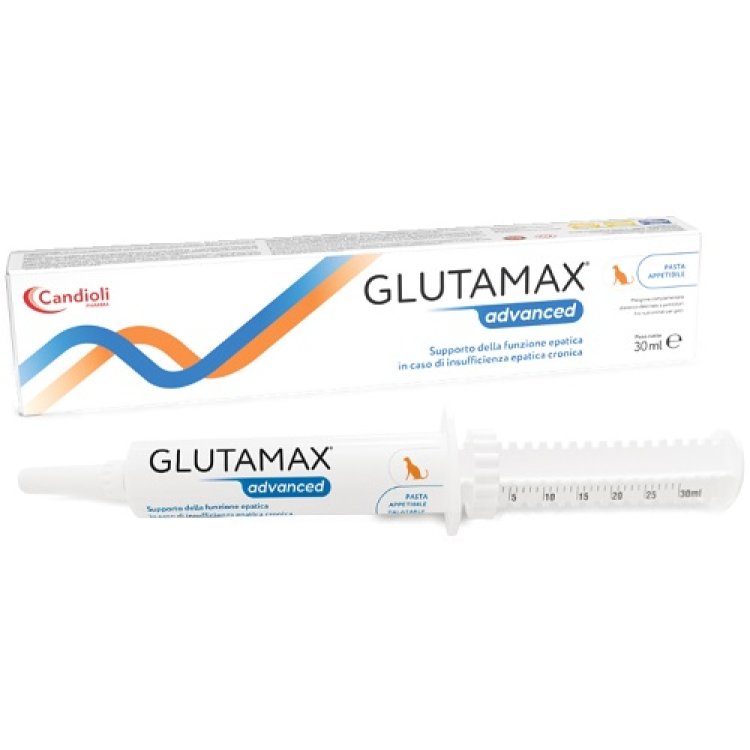 GLUTAMAX ADVANCED PASTA 30 ML GLUTAMAX ADVANCED PASTA 30 ML
