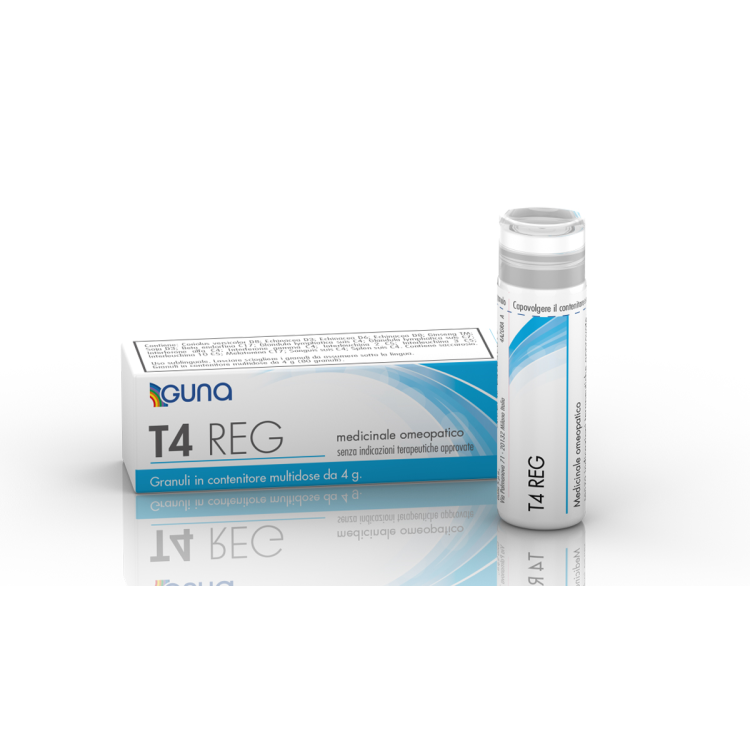 T4 REG 4G 80GR CONT MULTID